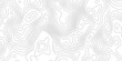 © Team Quad Core  - White topography topology vector white background fresh contour map texture backdrop digital print texture terrain lines and strokes on a fresh white