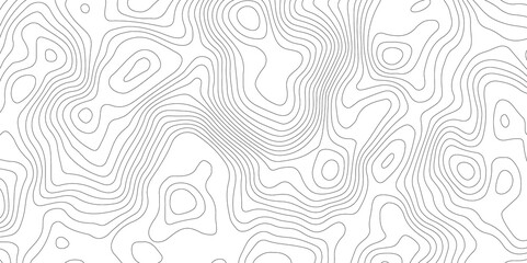 White topography topology vector white background fresh contour map texture backdrop digital print texture terrain lines and strokes on a fresh white 