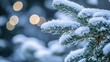 © Inkreatif - Snow Covered Pine Branch With Bokeh Background