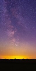 Wall Mural - The Milky Way Galaxy moving across the night sky. Autumn night sky in Lithuania. 4k timelapse vertical movie