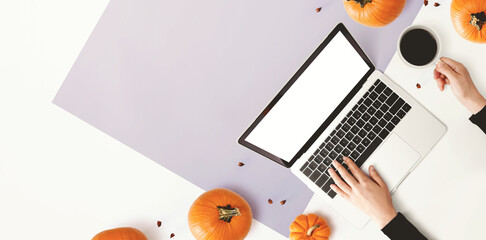 Wall Mural - Person using a laptop computer with pumpkins - overhead view