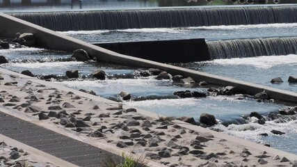 Canvas Print - 大和川の柏原堰堤に設置された魚道