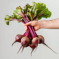 Wall Mural - Farmer holds bunch fresh beetroot with lush leaves. Healthy organic food, vegetables, agriculture