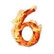 © WINNN - fire number 6 isolated on transparent background