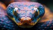 © Helois - A close-up view of a snake's head with its bright yellow eyes staring directly at the camera.