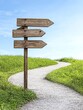 © ArtisticSnap - Wooden signpost with direction arrows guiding along a winding path in a lush green landscape under a clear blue sky.