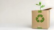 © Bussakon - Eco Friendly Recycled Parcel Box with Green Labels and Sprouting Plant on White Background