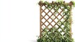 © Phatharaporn - Wooden trellis with climbing plants.