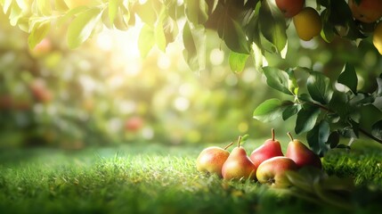 fresh pear closeup view on lawn in orchard with trees