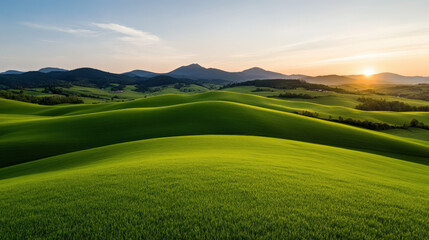 Green meadow stretches towards the blue sky, creating a peaceful countryside panorama