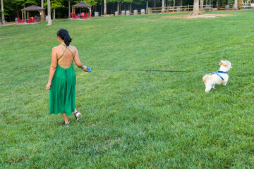 Wall Mural - A woman is walking her dog in a park