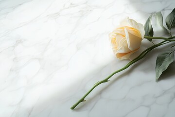 Poster - A single yellow rose with green leaves lies elegantly on a smooth white marble surface, illuminated by warm natural light. Generative AI