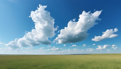 Poster - The vast grassland contrasts with the blue sky, and soft white clouds float in the sun, showing the tranquility and harmony of nature.