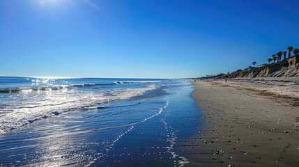 Wall Mural - Beach day under clear skies