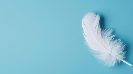 A delicate white feather resting on a vibrant blue background, showcasing softness and elegance in nature's beauty.