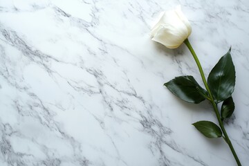 Wall Mural - A delicate white rose lies on a smooth white marble surface, showcasing simplicity and elegance in a tranquil setting. Generative AI