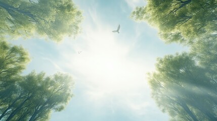 Wall Mural - a bird flies over a forest canopy with the sun shining through the trees