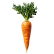 © Magnimage - Carrot isolated on a transparent background png file no background_1 png file
