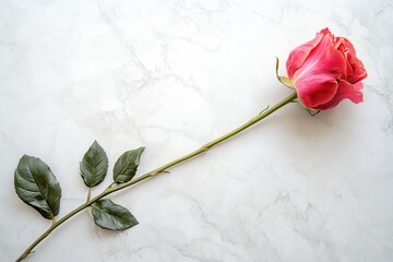 Aufkleber - A delicate pink rose with lush green leaves lies gracefully on a pristine white marble surface, embodying elegance and tranquility. Generative AI