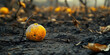 © Lila Patel - Bitter Bite: A barren orchard, its fallen fruit rotting on the ground, the tangy scent of decay permeating the air.