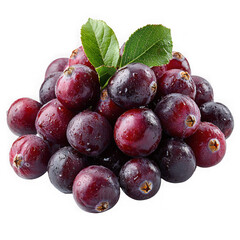 Wall Mural - cranberry isolated on a transparent background png file no background png file