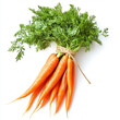 © designer_asif - Create an image of a fresh bunch of carrots, isolated on a clean white background. Bunch of carrots