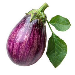 Eggplant isolated on a transparent background png file no background_1 png file