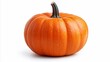 © Yevheniia Kudrova - Orange pumpkin isolated on white background