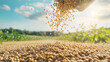 © Manganese - Soybeans falling into a field.