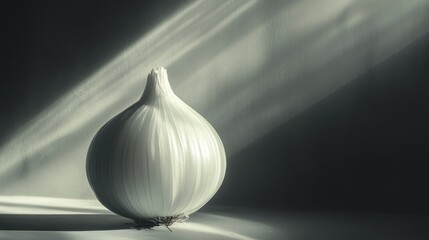 Wall Mural - A Single White Onion Illuminated by Sunlight