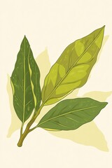 Stylized Illustration of Green Bay Leaves