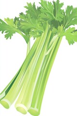 Wall Mural - Fresh Green Celery Stalks on White Background