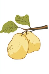 Wall Mural - Illustration of Pears on a Branch with Green Leaves