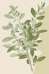 Wall Mural - Stylized Illustration of Oregano Leaves