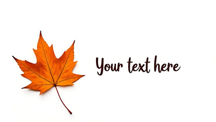 Wall Mural - maple leaf isolated on white