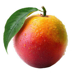 Wall Mural - mango isolated on a transparent background png file no background_1 png file