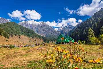 Serene Landscape of Aru valley near Phalgam town in Anantnag district of Jammu and Kashmir, India. It is famous for lush green meadows, snow-capped peaks and scenic trekking trails.