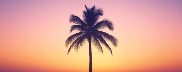 Wall Mural - Silhouette of a palm tree against a