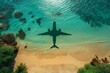© Michael - Airplane shadow flying over tropical beach island paradise destination travel concept