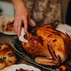 Wall Mural - Close up hands putting turkey on table