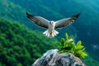 © Sanchai - Bird hovering above a valley, surveying the world below as it finds calm and stillness in the open air, high above the earth