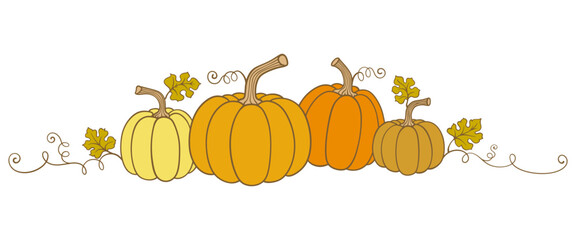 Poster - pumpkin with leaves, Pumpkin vector illustration suitable for thanksgiving, halloween,autumn,fall season design, vector eps