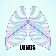 Wall Mural - Abstract human lungs of lines, vector illustration