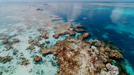 Aerial view of degraded coral reefs with sparse marine life, highlighting the impact of rising ocean temperatures on biodiversity.