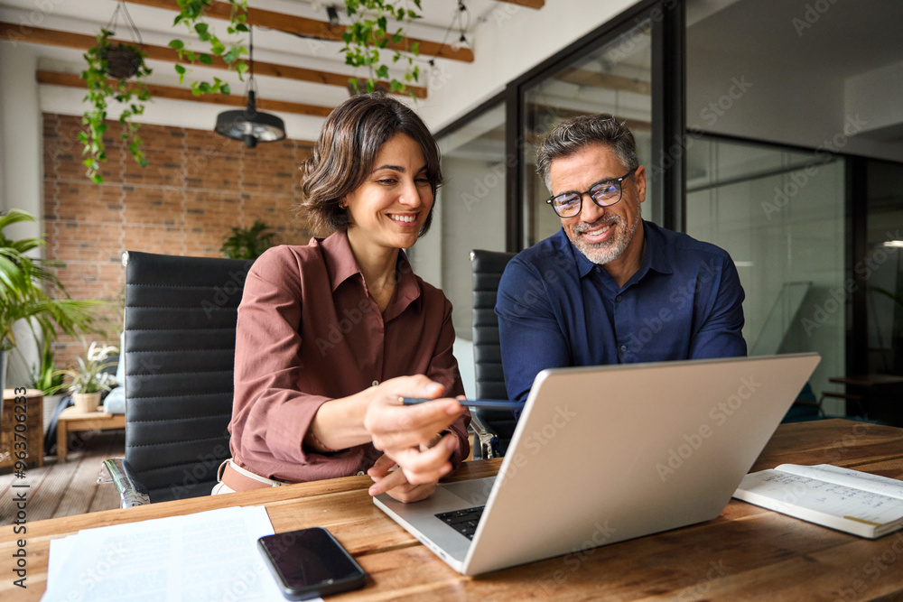 Business team of two executives working together using laptop in office ...