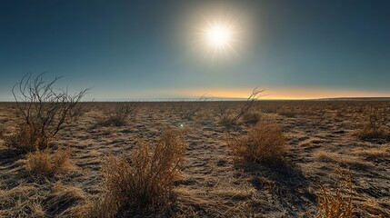 Wall Mural - A parched landscape with withered plants under an intense sun, where heatwaves create mirages on the horizon, symbolizing the harsh realities of global warming.