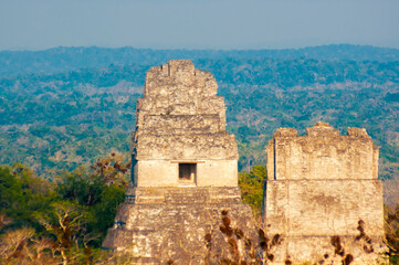 Pyramid in the Peten Guatemala, called the Great Jaguar, tropical jungle heritage of the limestone mesh culture.