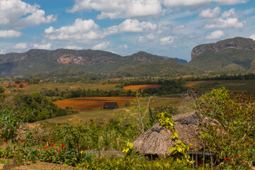 Cuba, Vinales, Finca Agroecologica El Paraiso. Organic farm and restaurant in Vinales valley. 2016-03-27