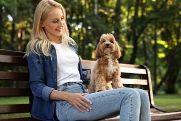 Wall Mural - Beautiful young woman with cute dog on bench in park