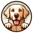 © carlos_eeb - Golden Retriever